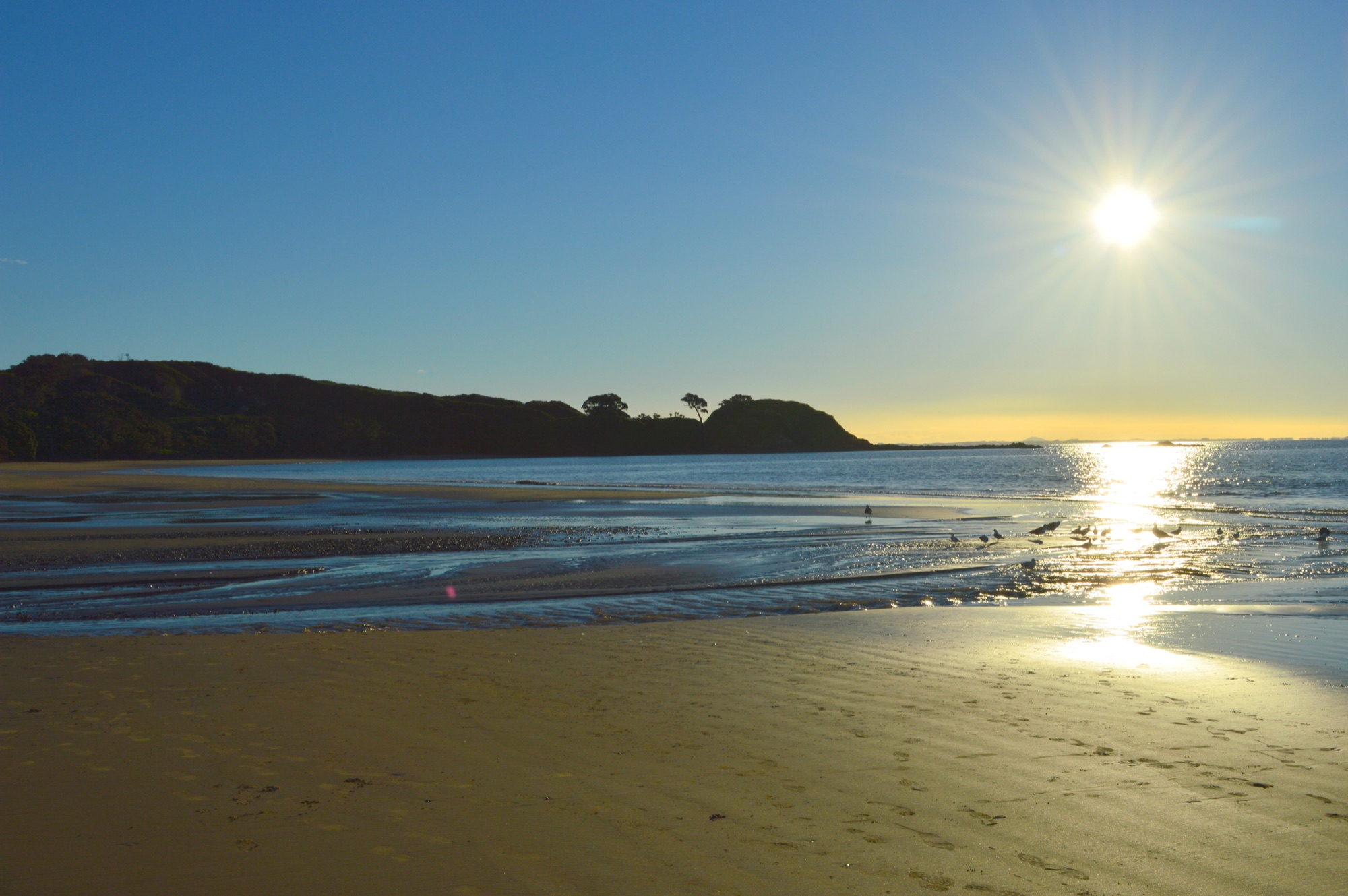Sunlight over Coopers Beach